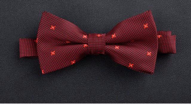 Men's Formal & Elegant Bowties