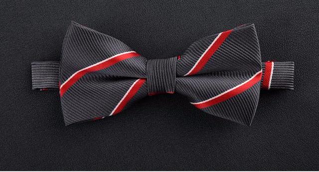 Men's Formal & Elegant Bowties